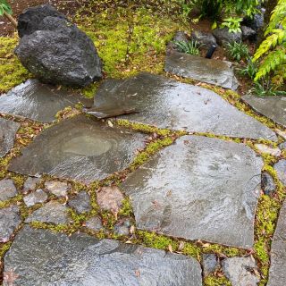 苔むした鉄平石の景