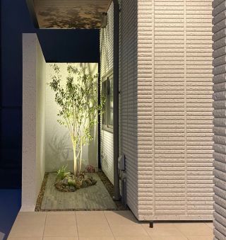ライトアップされた坪庭の景